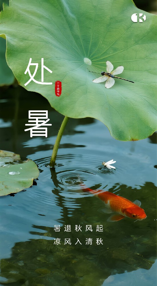 处暑至，习俗趣：暑去凉来话传统